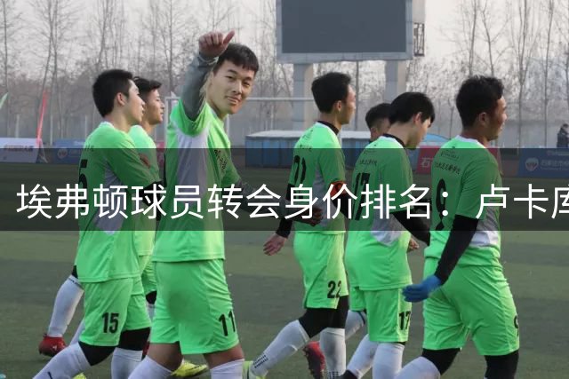 埃弗顿球员转会身价排名：卢卡库领衔，恩迪亚耶紧随其后